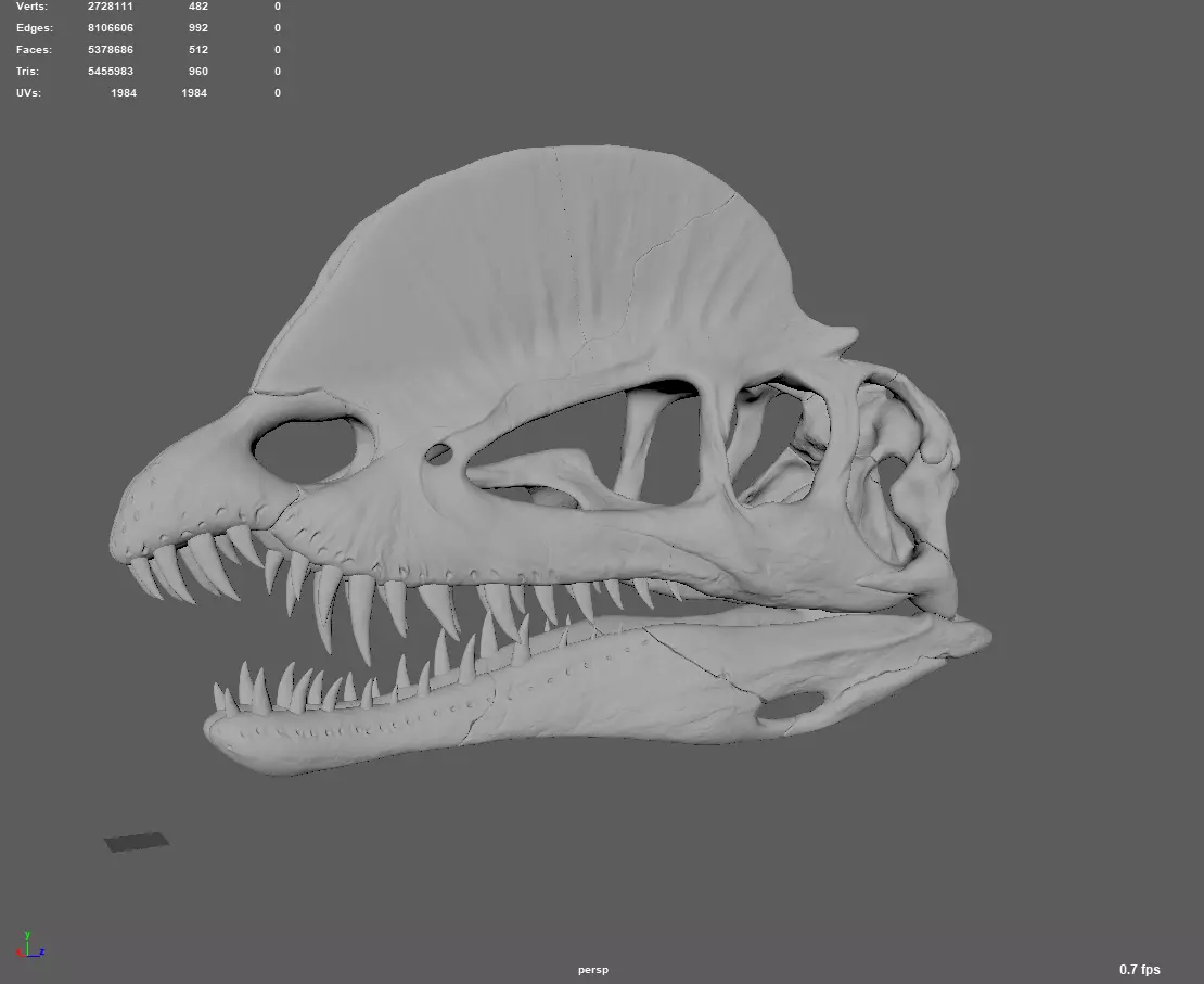 double dragon skull 3D model_0