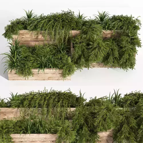 Outdoor Plants Tree in Plant Box Set0 3D model