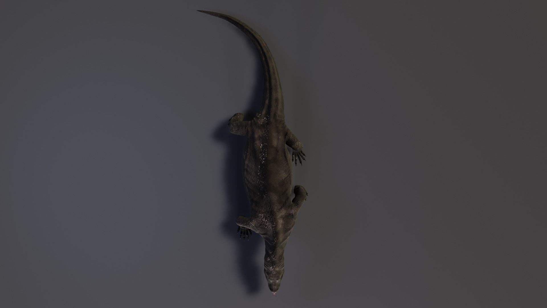 Komodo Dragon Low-poly 3D model_5