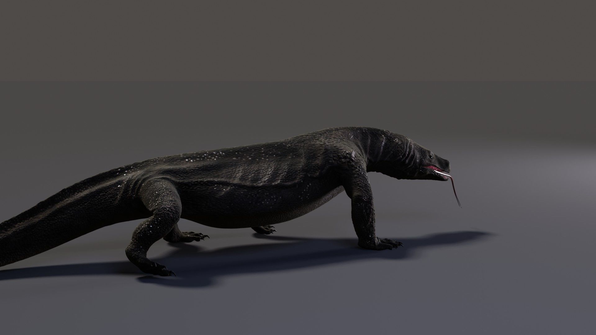 Komodo Dragon Low-poly 3D model_4