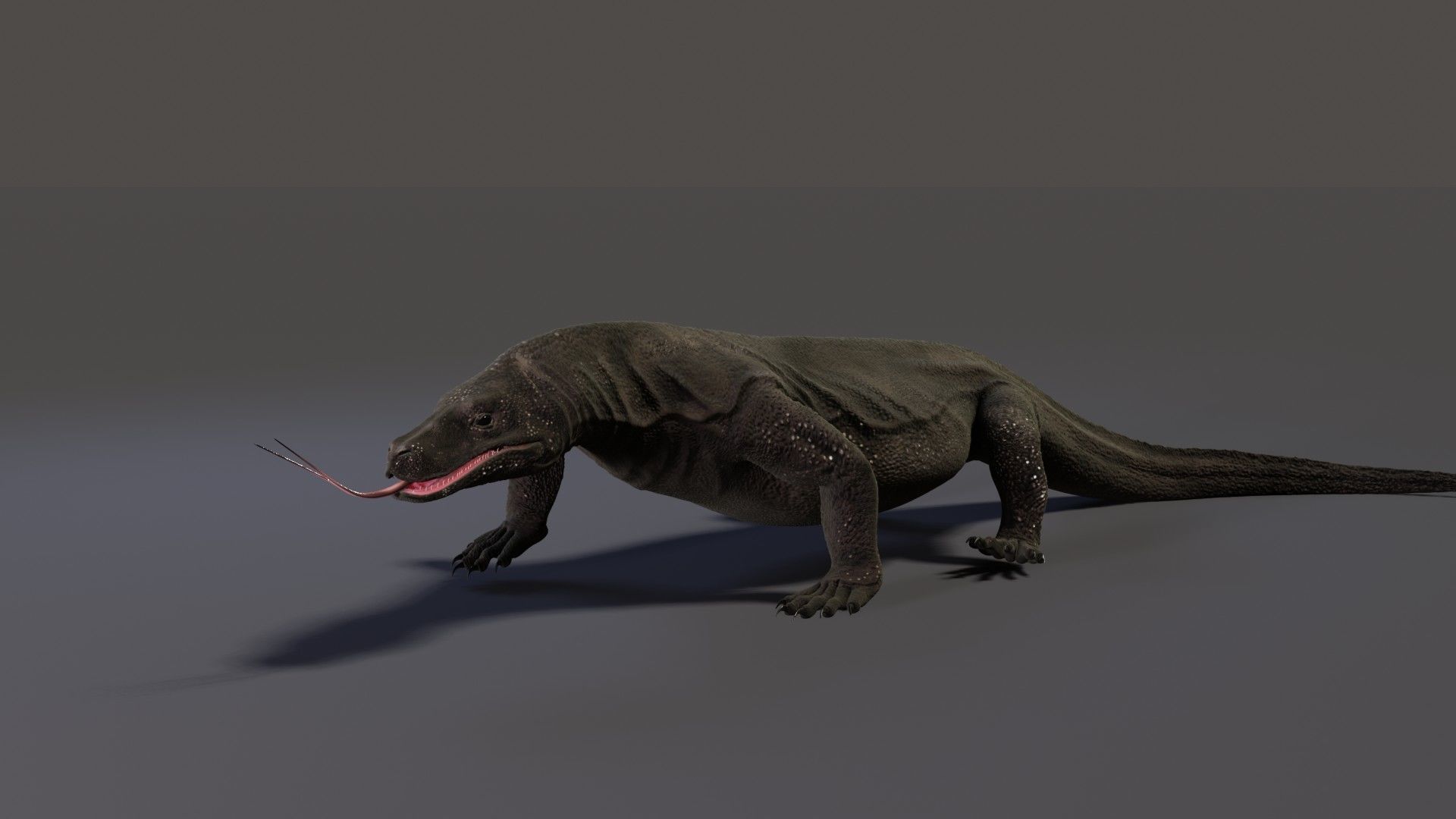 Komodo Dragon Low-poly 3D model_2