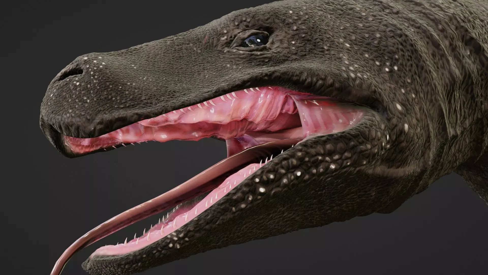 Komodo Dragon Low-poly 3D model_0