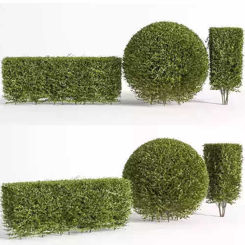 Shamshad rectangular and rectangular standing and spherical