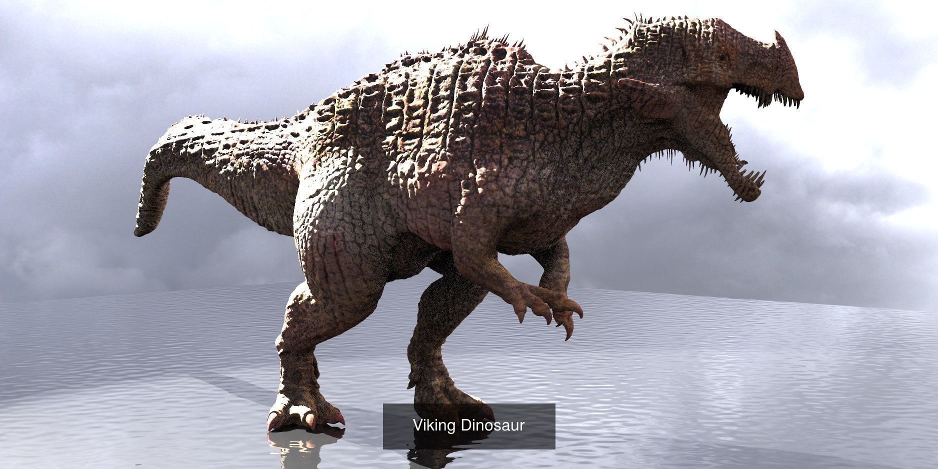 Lizard warrior collection _25