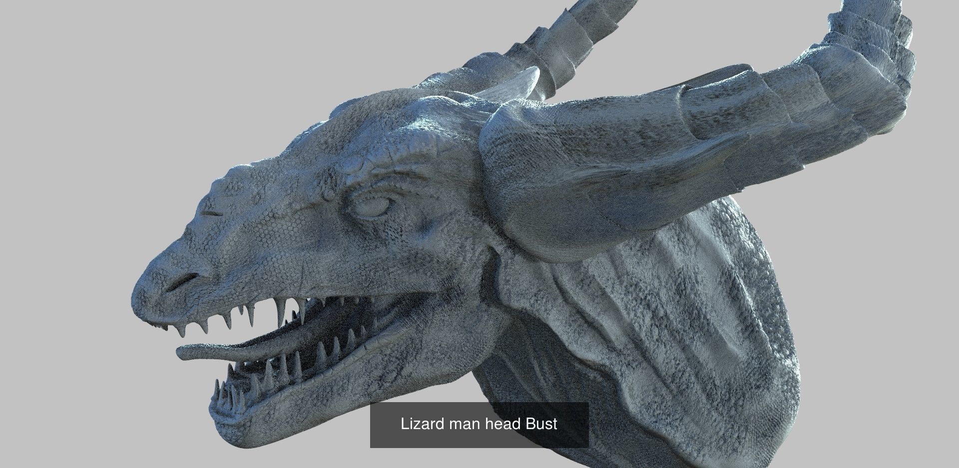 Lizard warrior collection _6