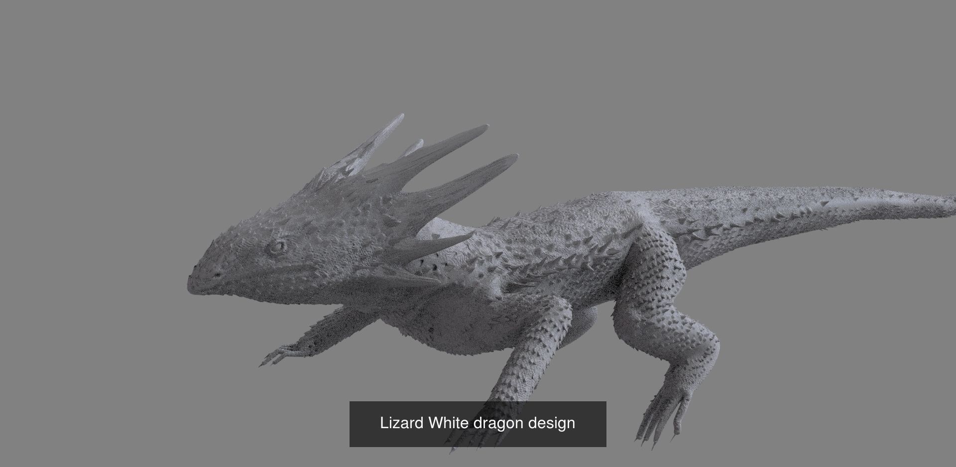 Lizard warrior collection _4