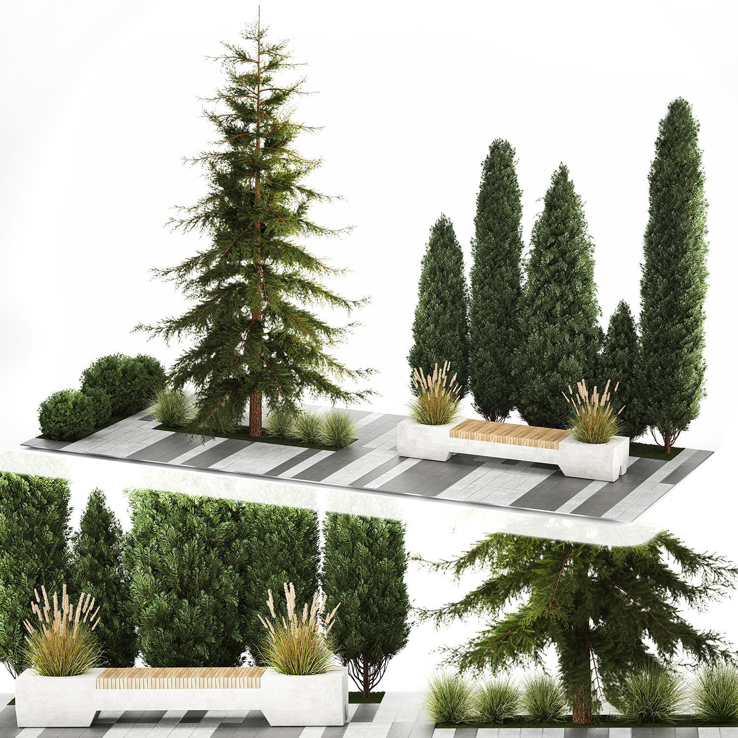 Garden of thuja and cypress trees with bushes 1156 3D model_7