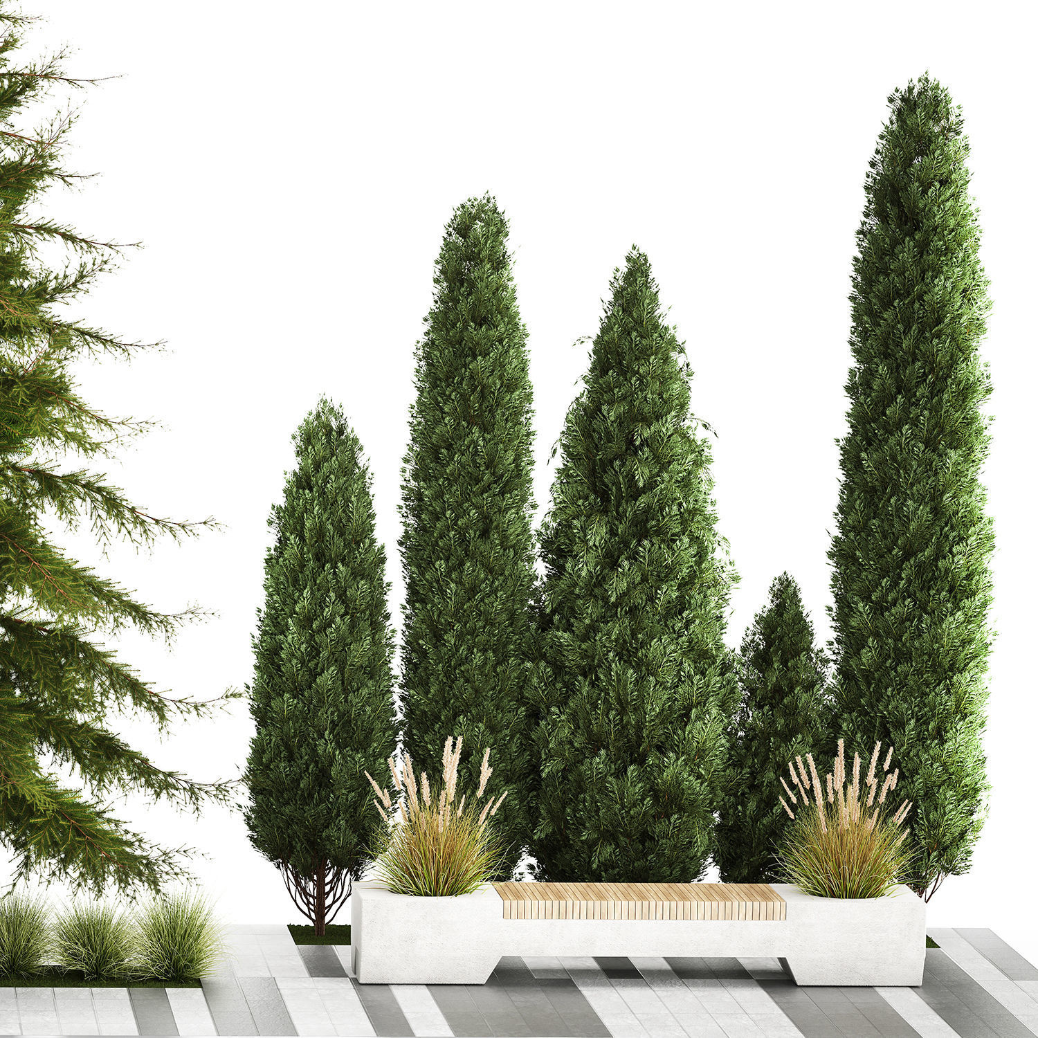 Garden of thuja and cypress trees with bushes 1156 3D model_6