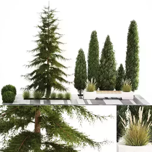 Garden of thuja and cypress trees with bushes 1156 3D model