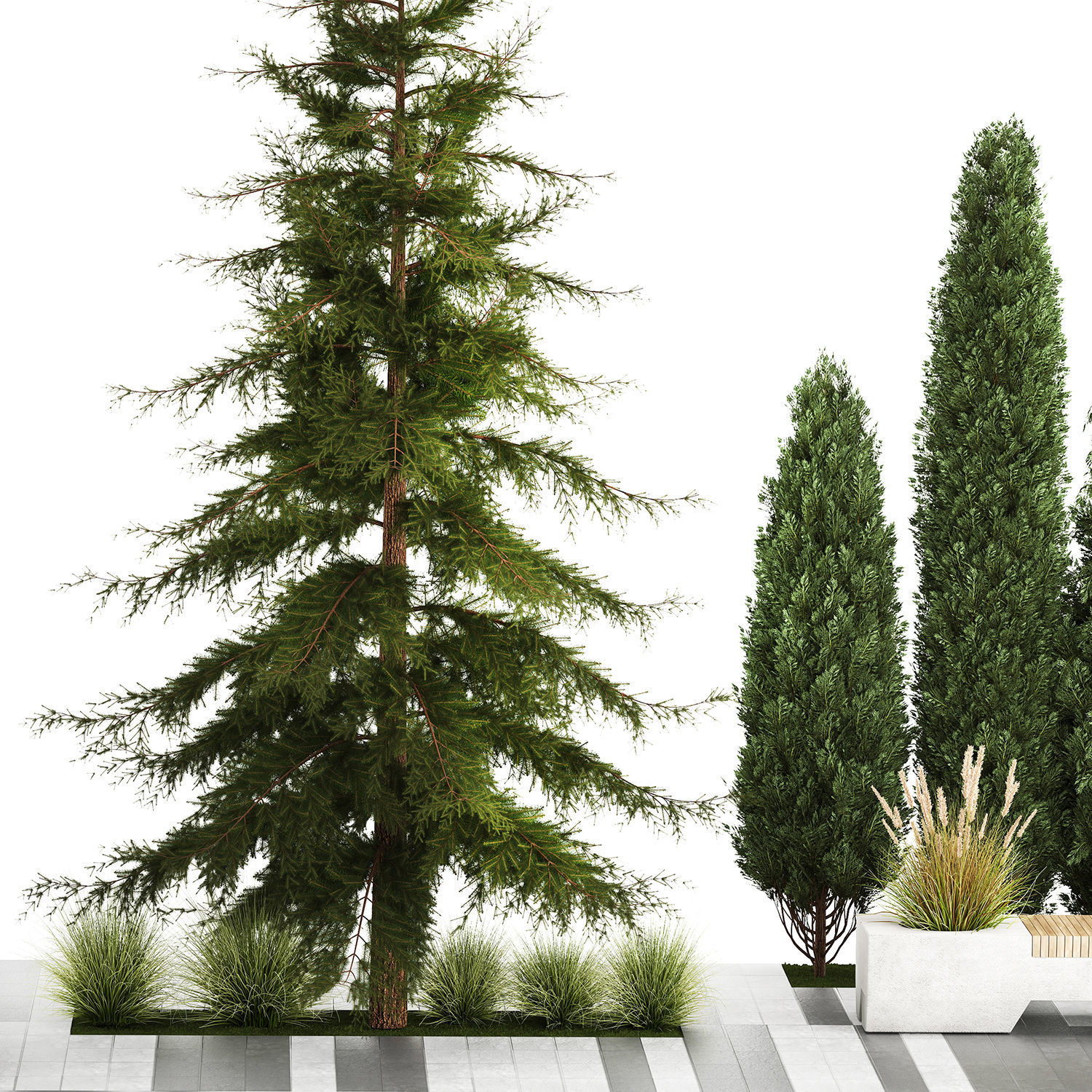 Garden of thuja and cypress trees with bushes 1156 3D model_4