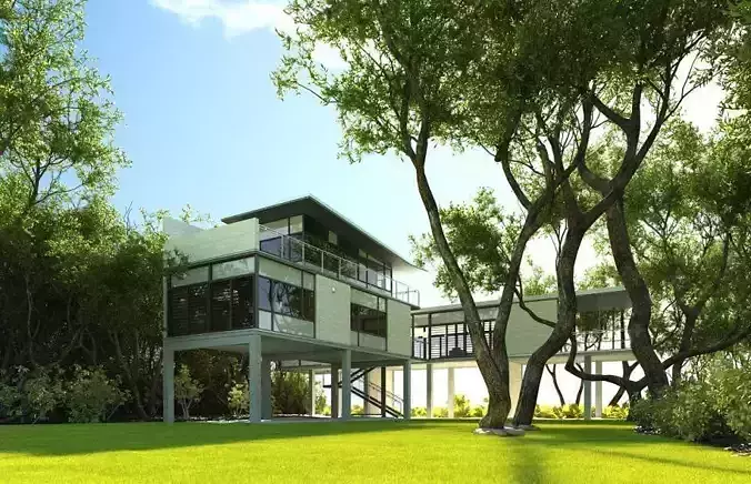 Modern House With A Yard