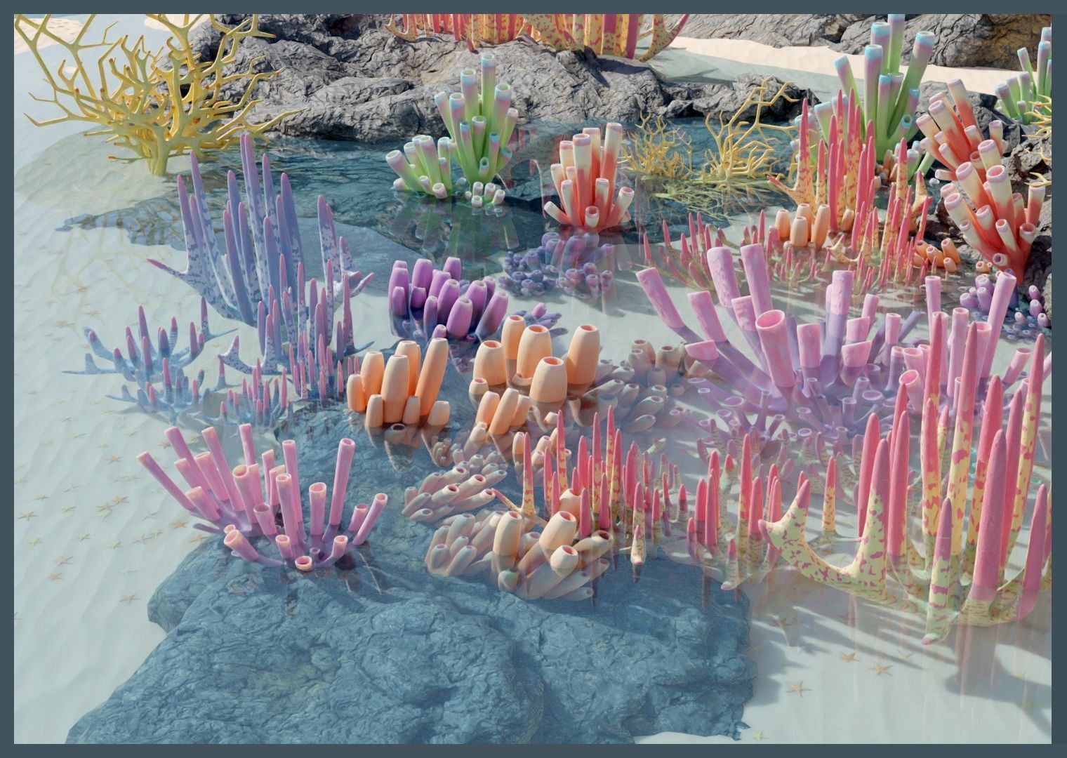 Lowpoly Coral Pack Low-poly 3D model_4