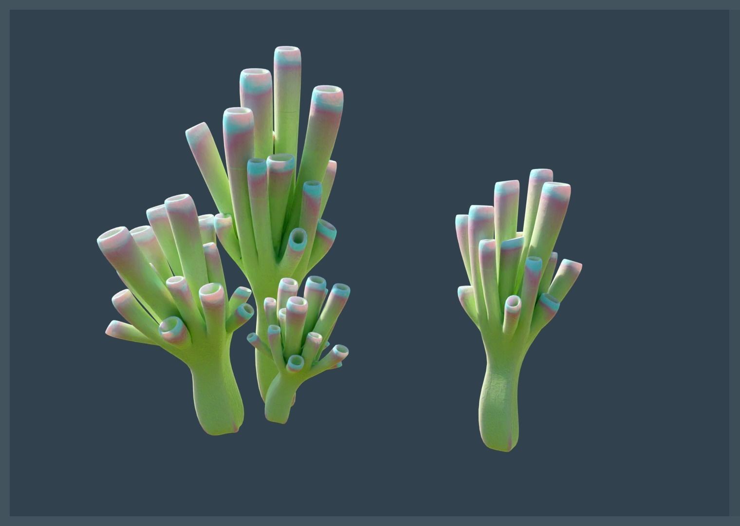 Lowpoly Coral Pack Low-poly 3D model_10
