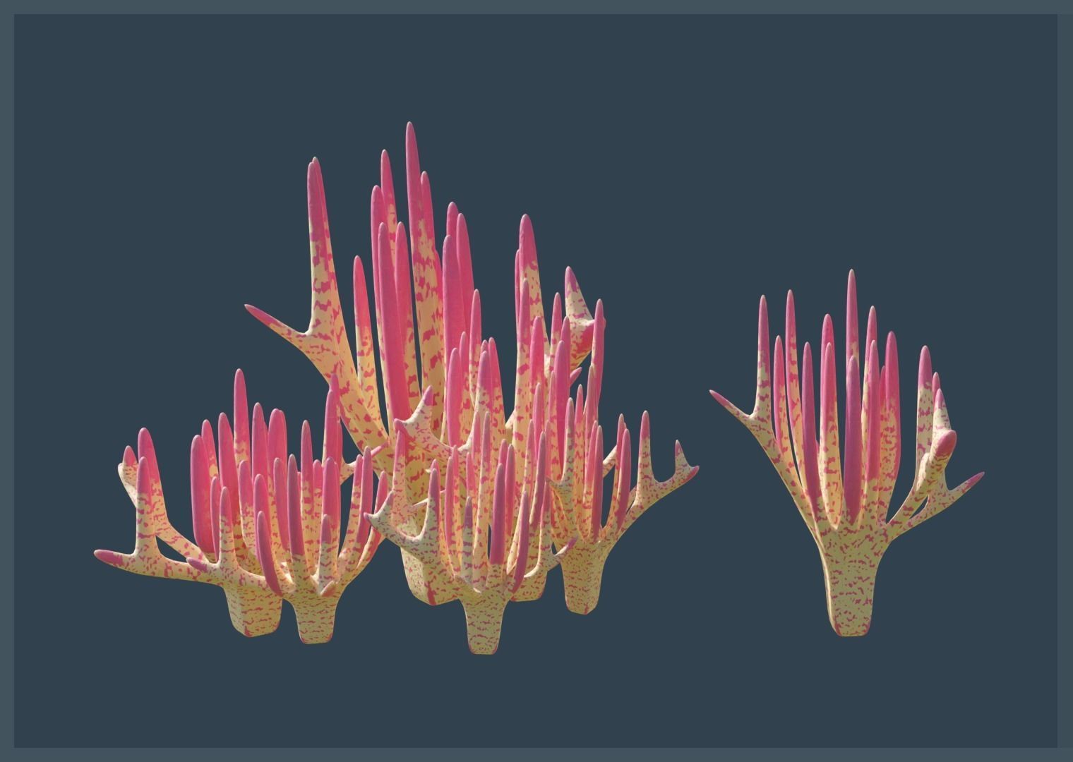 Lowpoly Coral Pack Low-poly 3D model_6