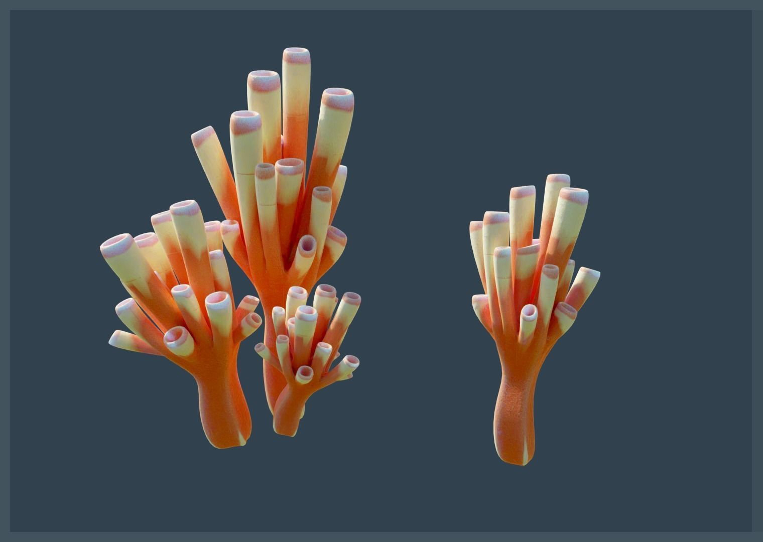 Lowpoly Coral Pack Low-poly 3D model_11
