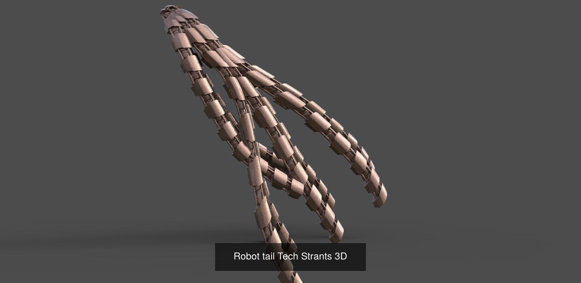 Giant squid collection _6