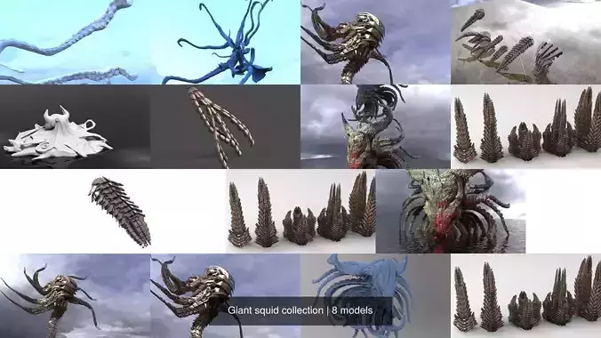 Giant squid collection 