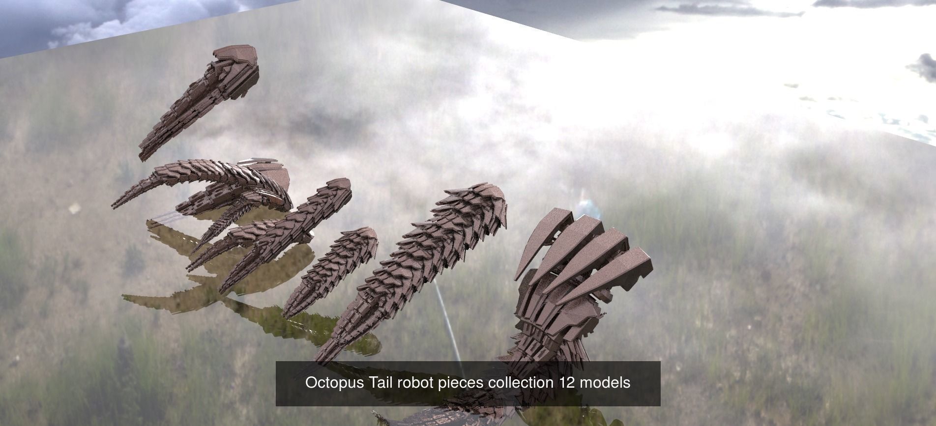 Giant squid collection _4