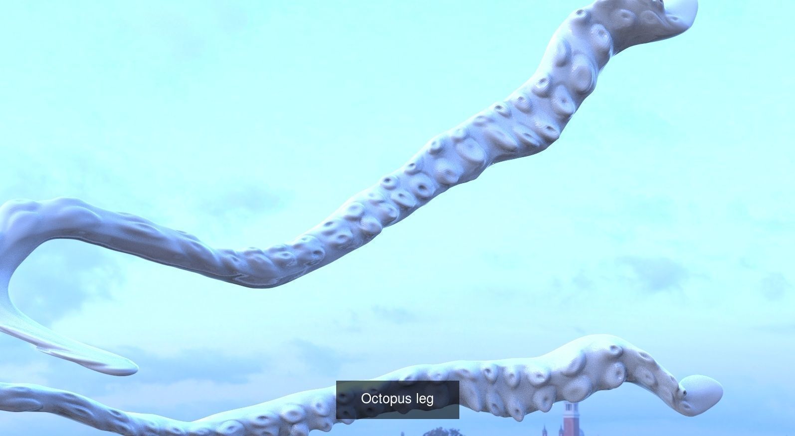 Giant squid collection _1