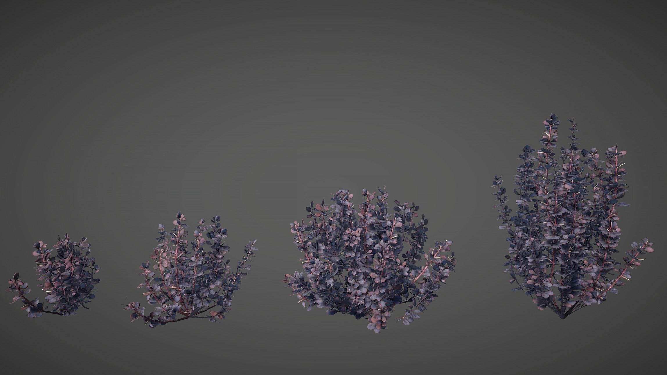 Barberry Bush Pack Low-poly 3D model_15