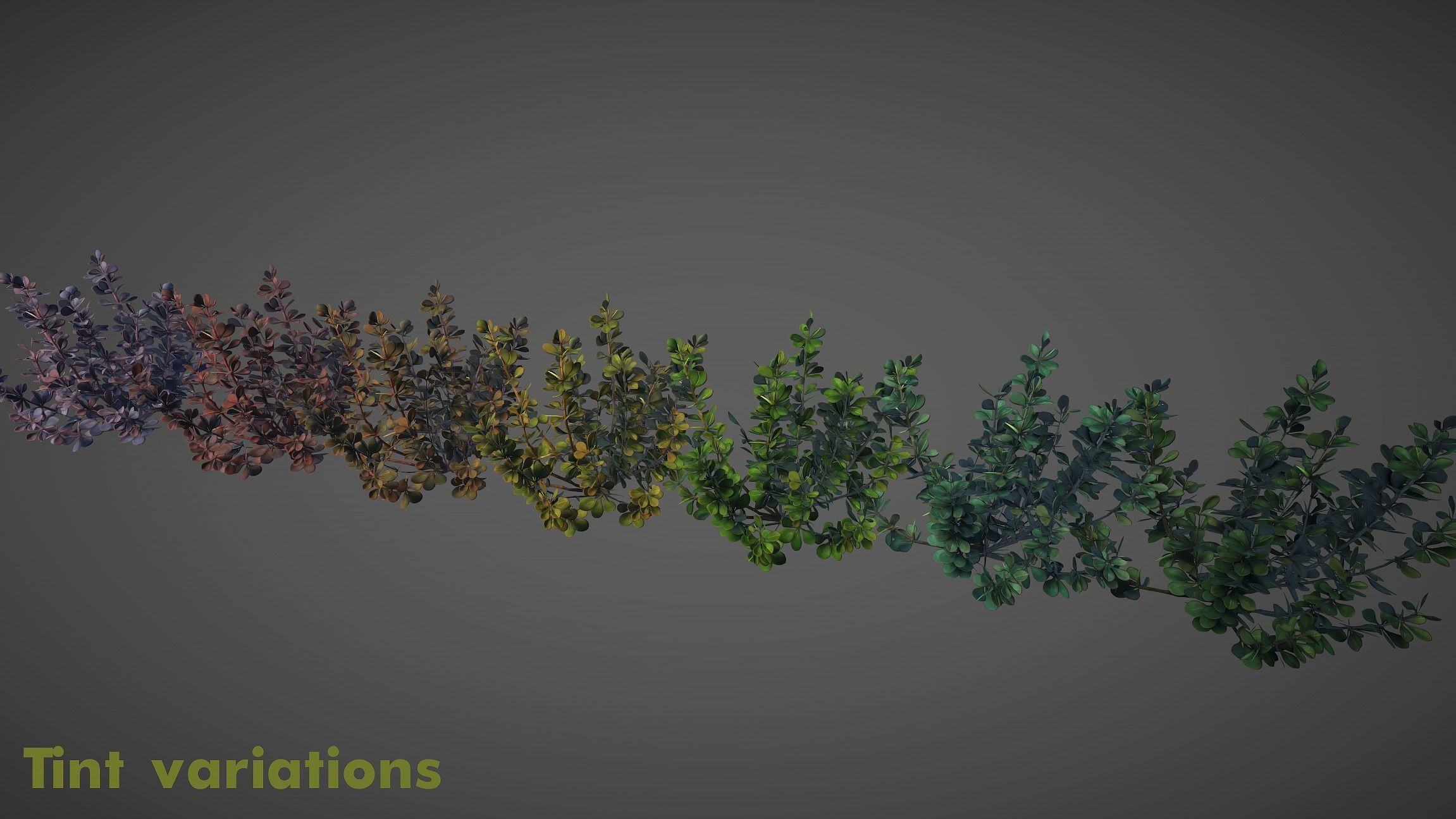 Barberry Bush Pack Low-poly 3D model_14
