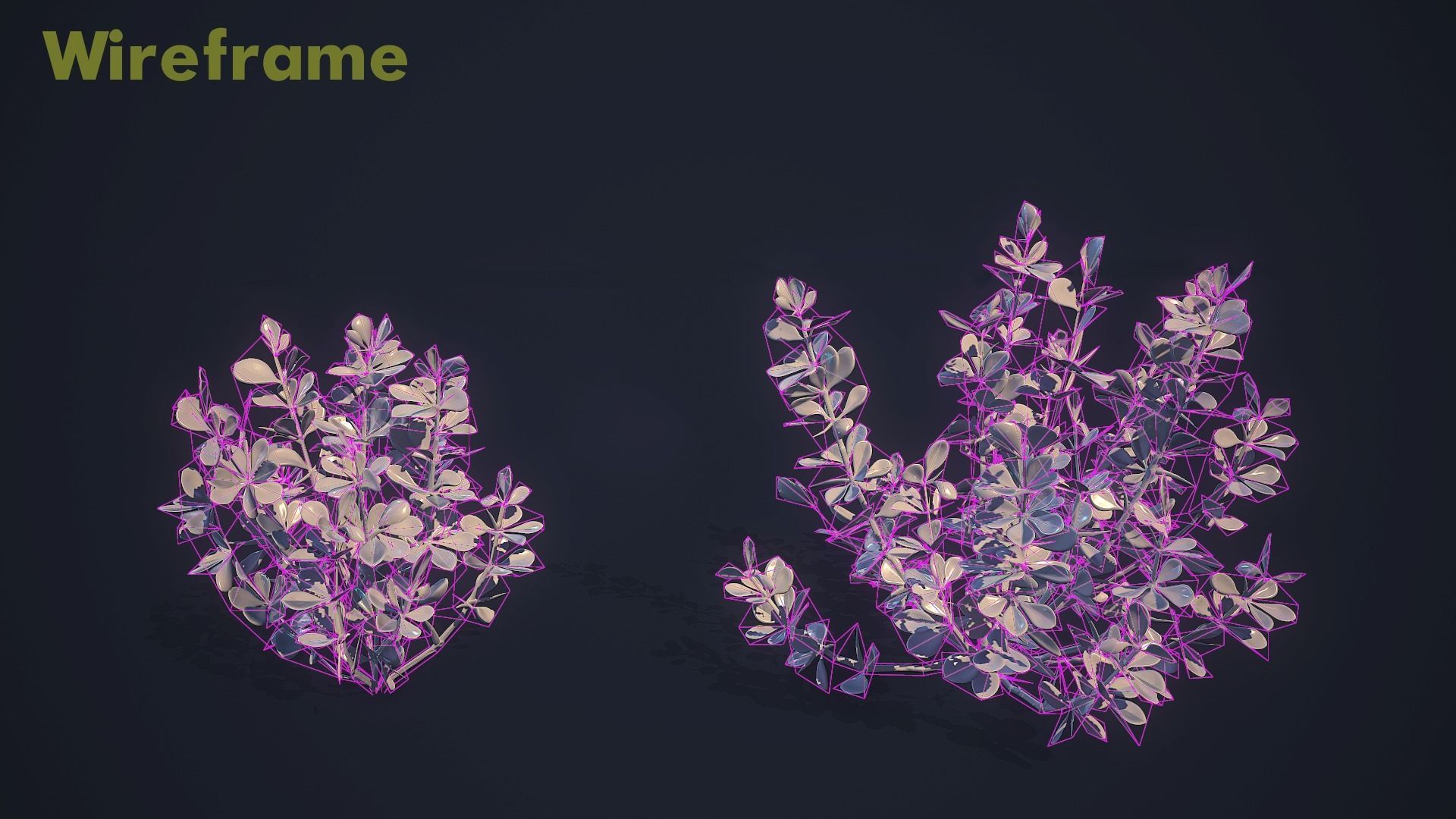 Barberry Bush Pack Low-poly 3D model_6