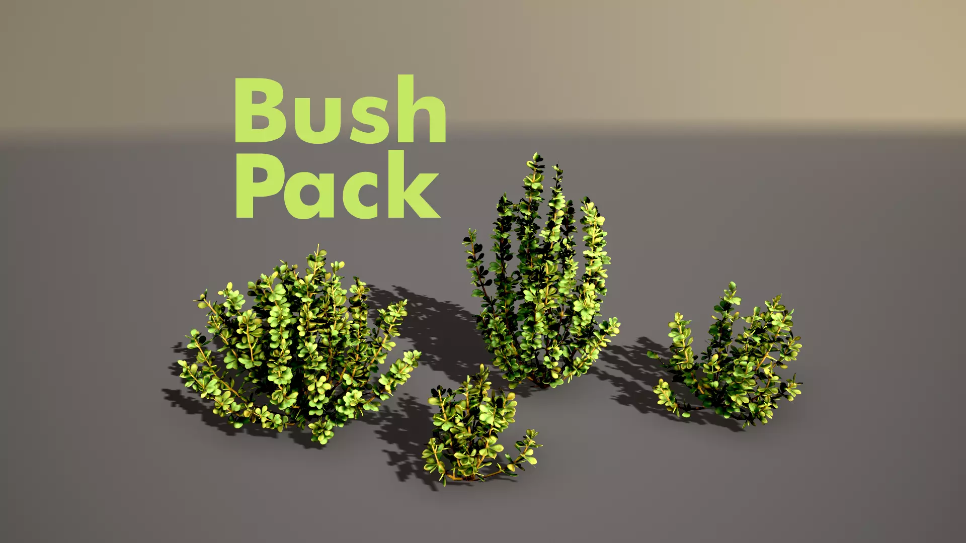 Barberry Bush Pack Low-poly 3D model_0
