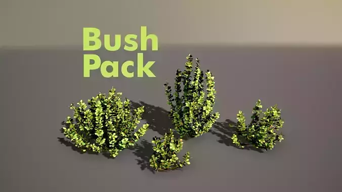 Barberry Bush Pack Low-poly 3D model