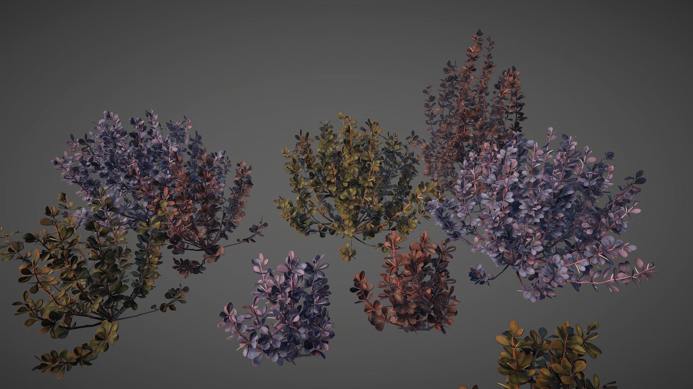 Barberry Bush Pack Low-poly 3D model_10