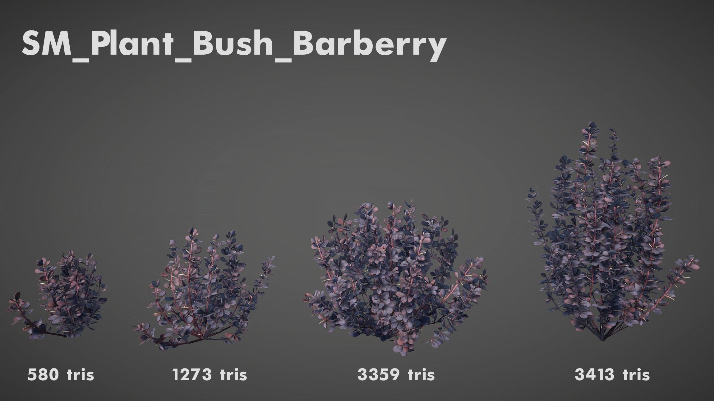 Barberry Bush Pack Low-poly 3D model_5