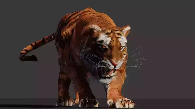 Tiger 3D Realistic Model  3D model