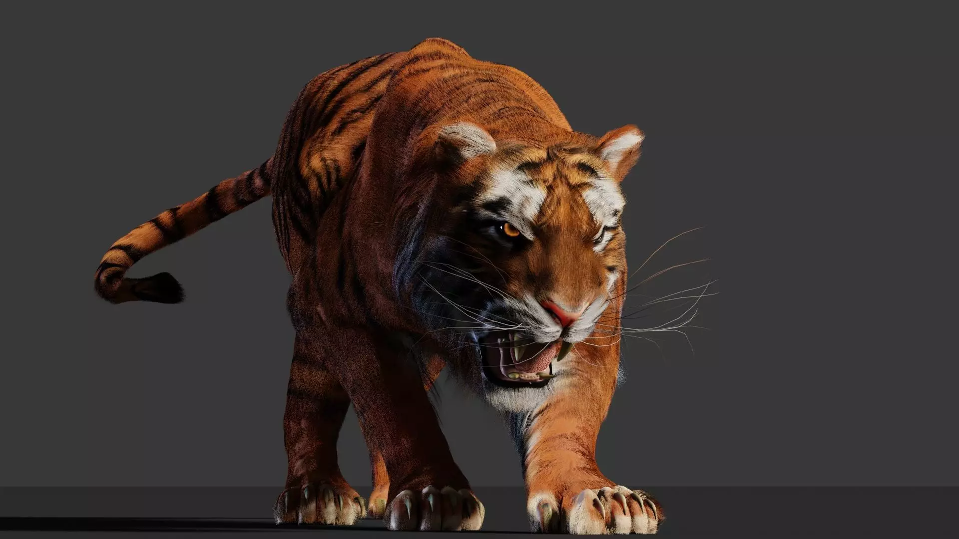 Tiger 3D Realistic Model  3D model_0
