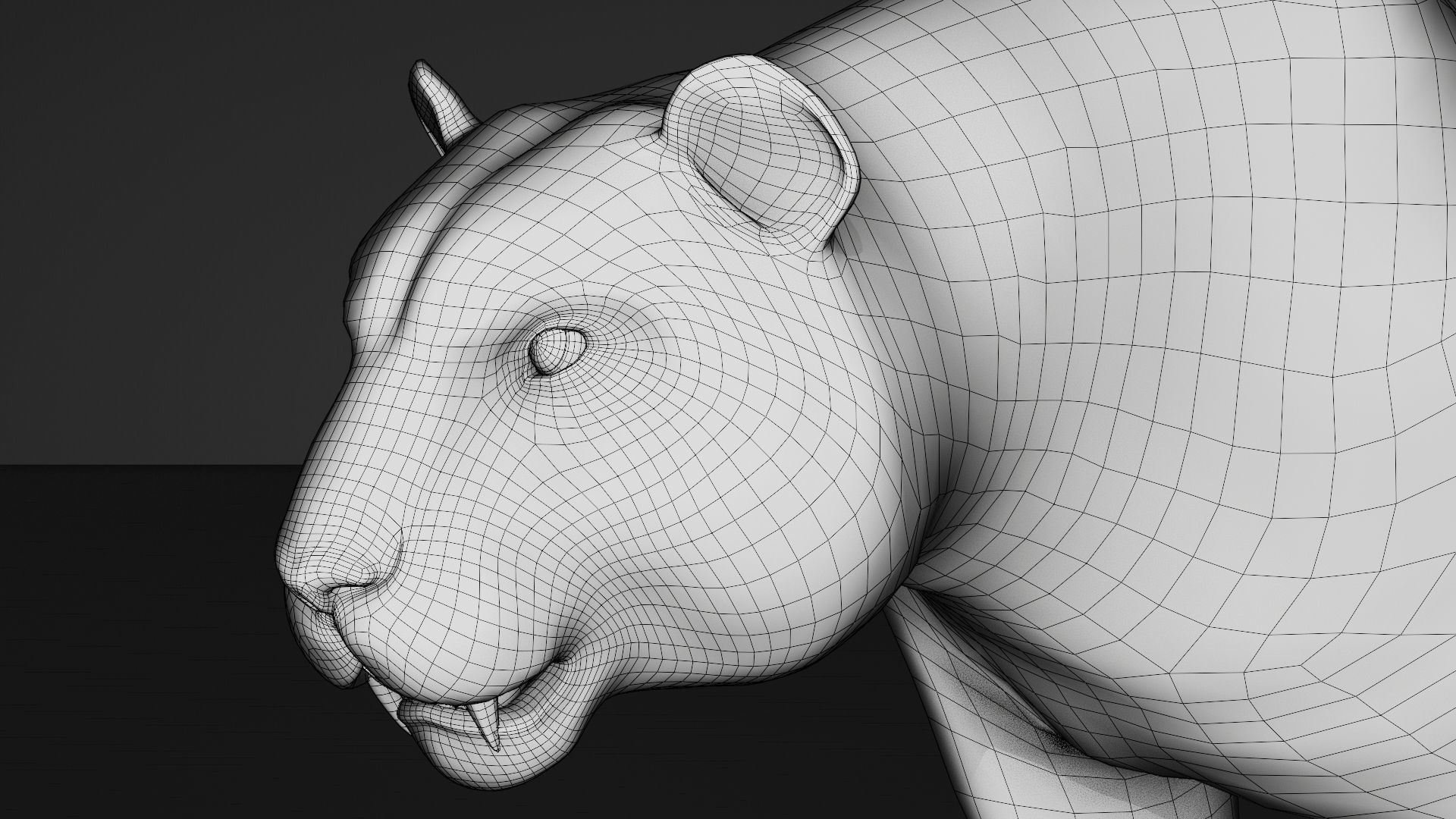 Tiger 3D Realistic Model  3D model_9