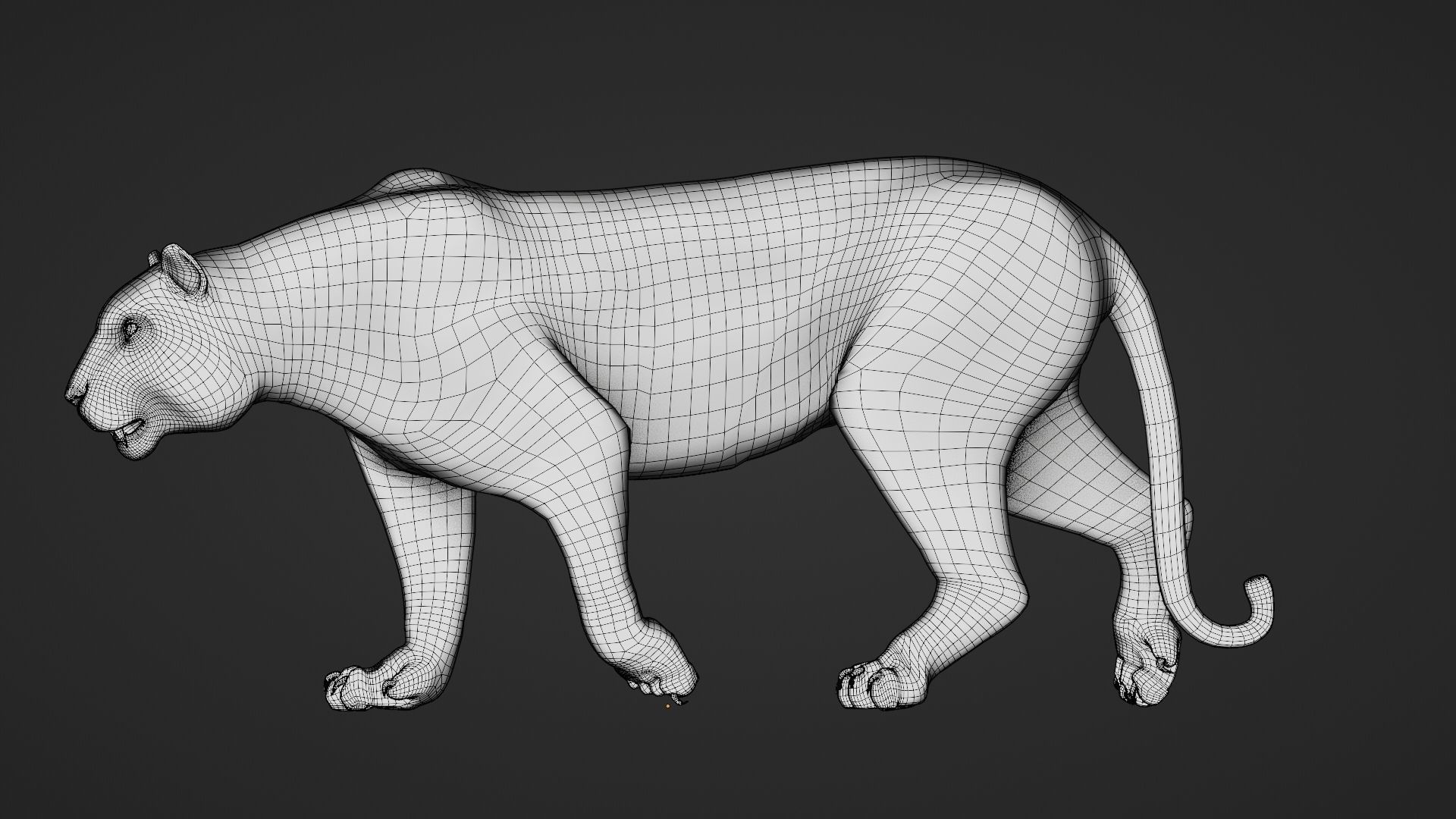 Tiger 3D Realistic Model  3D model_7