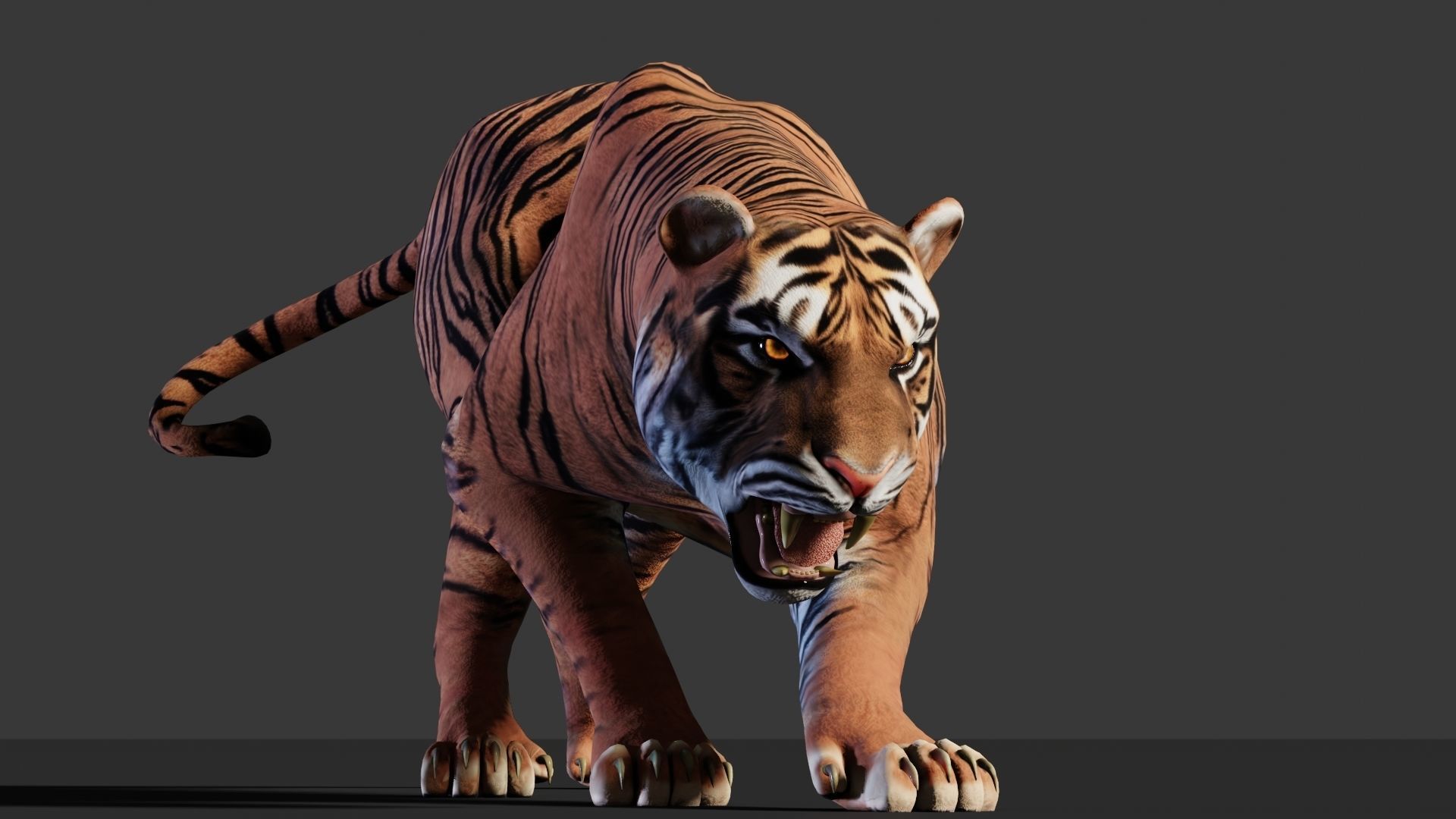 Tiger 3D Realistic Model  3D model_1