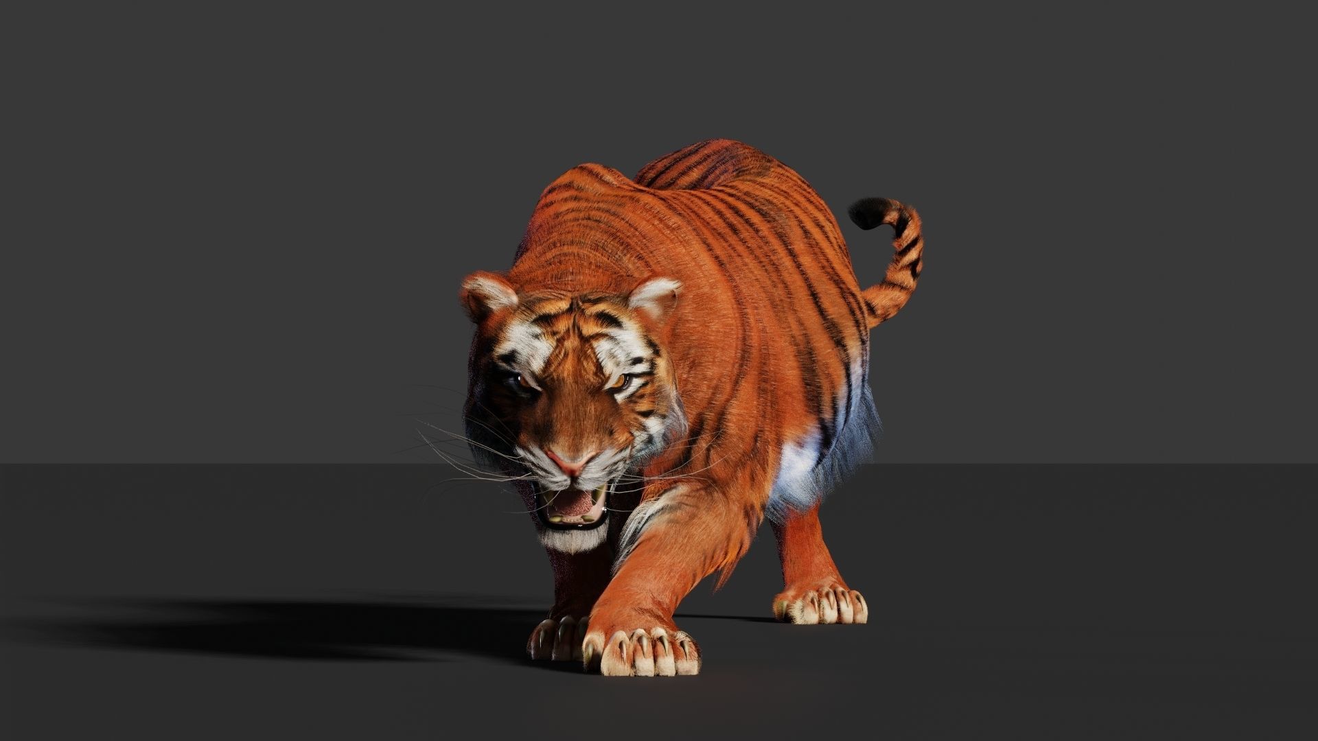 Tiger 3D Realistic Model  3D model_4