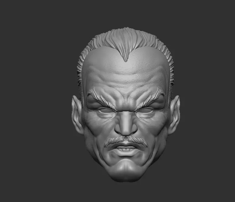 Sinestro - Headsculpt for Action Figures 3D print model 3D print model