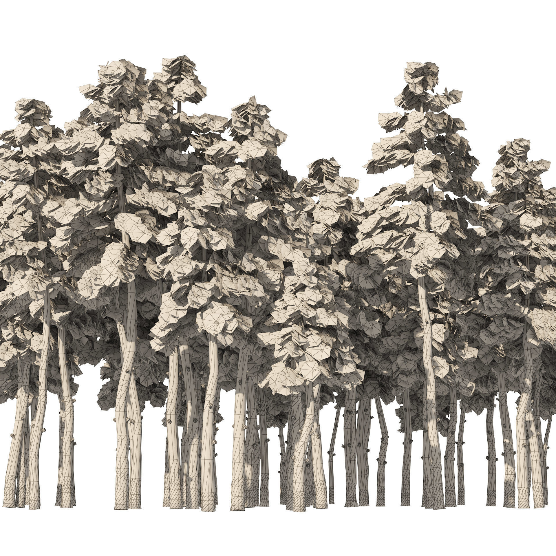 Douglas Fir Forest trees Low-poly 3D model_6