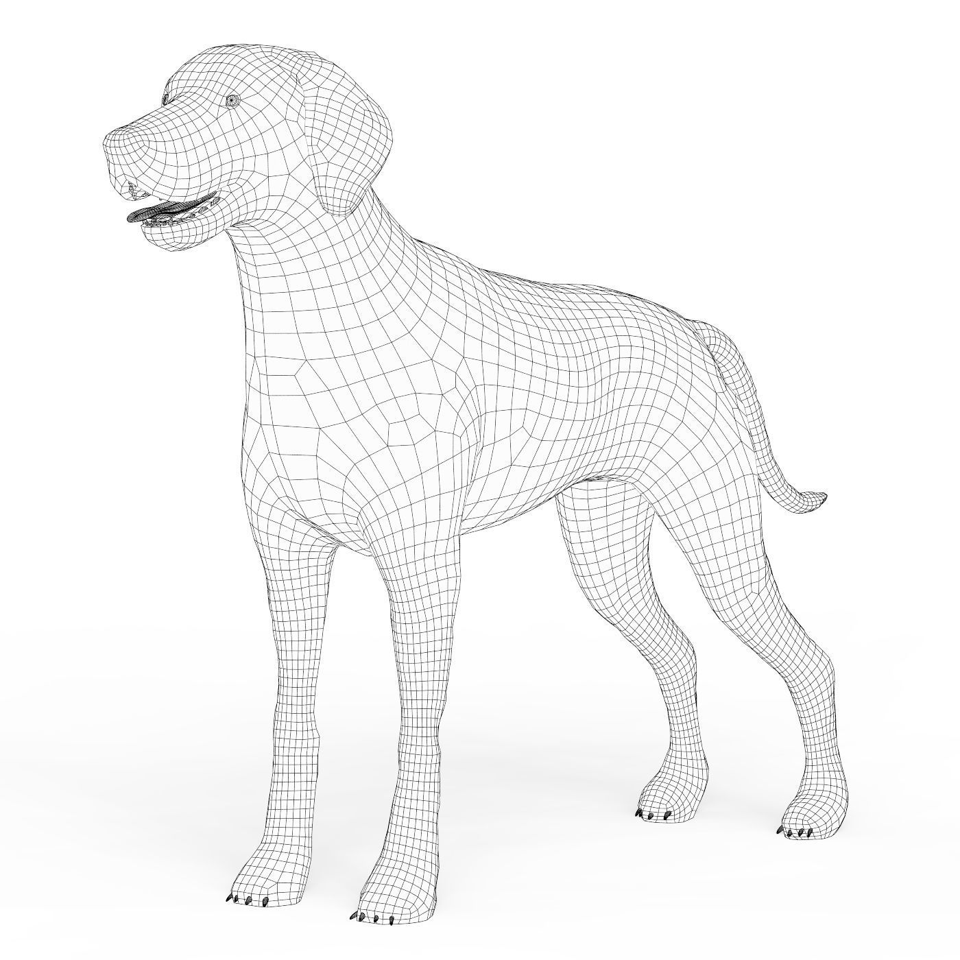 Brown Dog Low-poly 3D model_5