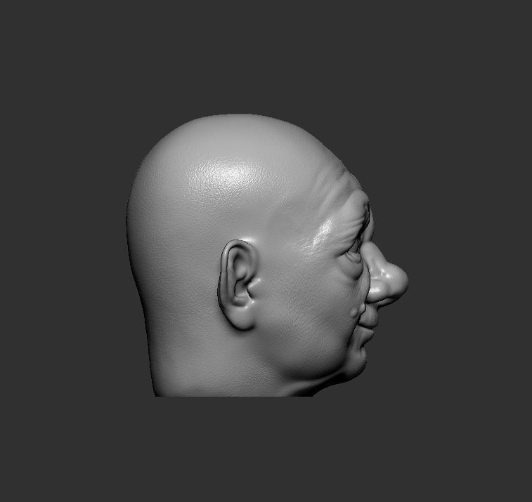 Head 66 3D print model_3