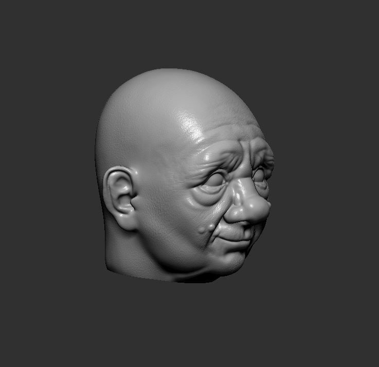 Head 66 3D print model_2