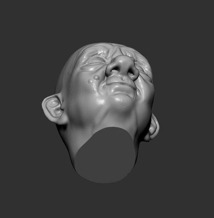 Head 66 3D print model_1