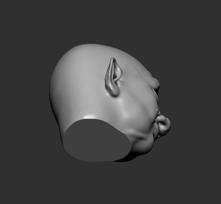 Head 66 3D print model_4