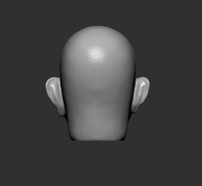 Head 66 3D print model_5