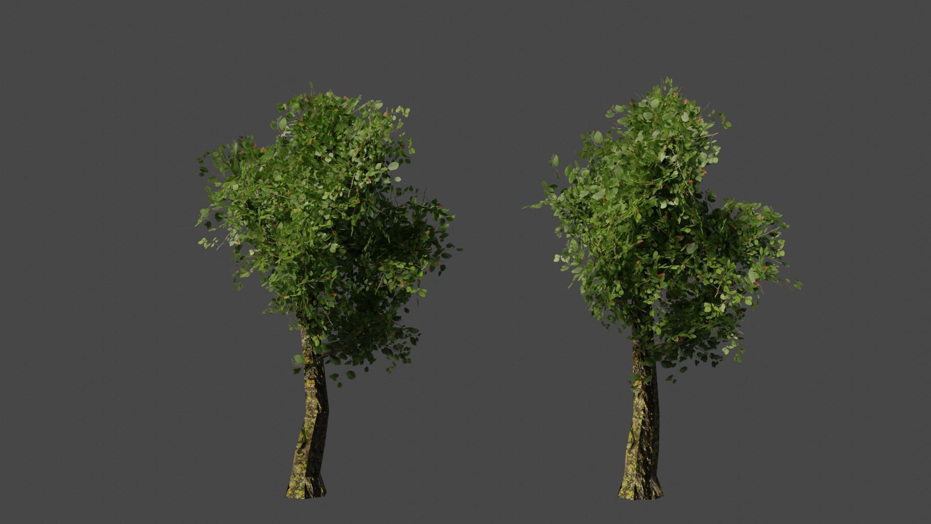 Low poly tree two trees Low-poly 3D model_4