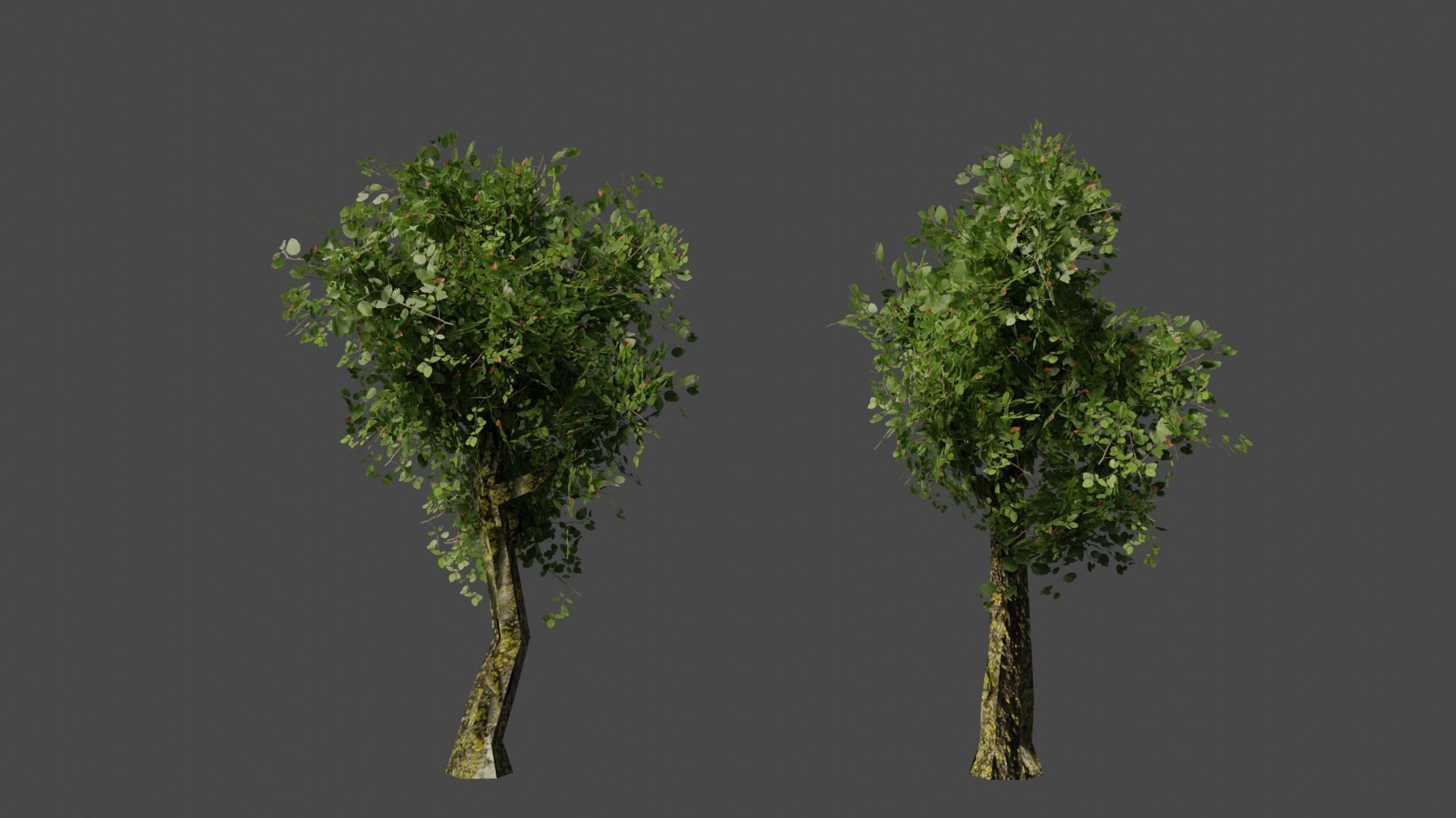 Low poly tree two trees Low-poly 3D model_3