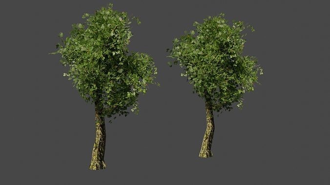 3D model Low poly tree two trees VR / AR / low-poly | CGTrader
