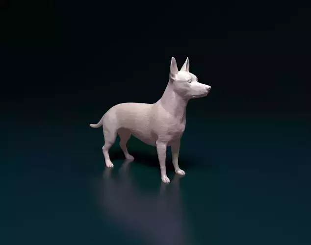 Cross breed dog 2 3D print model
