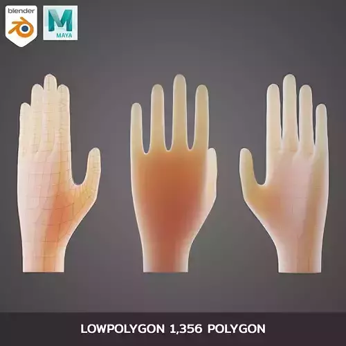 Cartoon Hand Stylize Lowpoygon