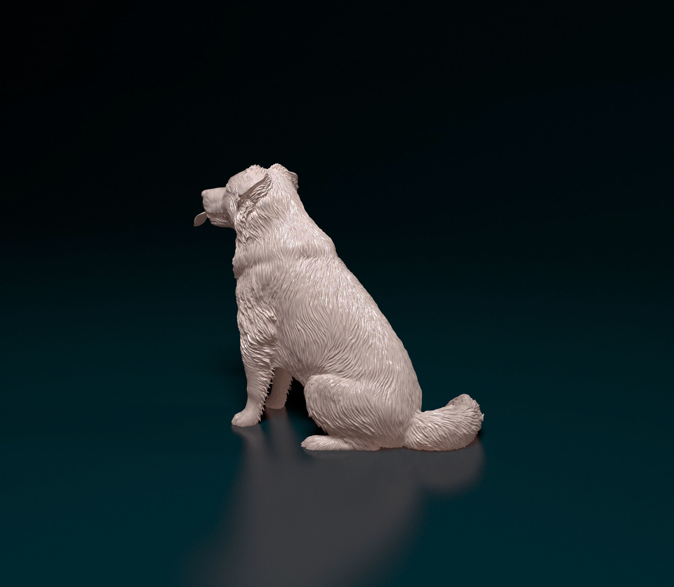 Border Collie cross 3D print model_4